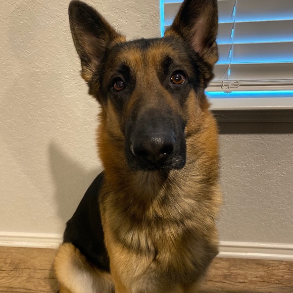 Meet your Posher, Michelle - Picture 1 of 2